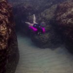 432753424_936507198481944_8891252389120323779_n