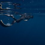 432775068_936507211815276_5764144359077040686_n