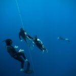 432991787_936507158481948_2196436981875403684_n